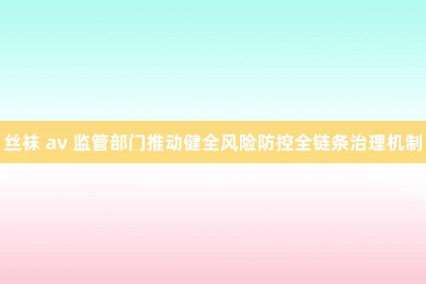 丝袜 av 监管部门推动健全风险防控全链条治理机制