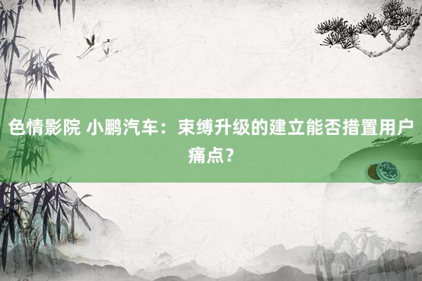 色情影院 小鹏汽车：束缚升级的建立能否措置用户痛点？