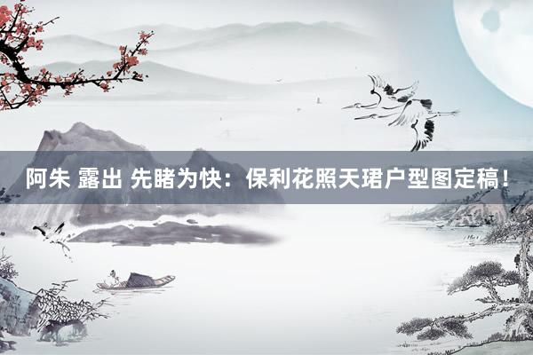 阿朱 露出 先睹为快:保利花照天珺户型图定稿!