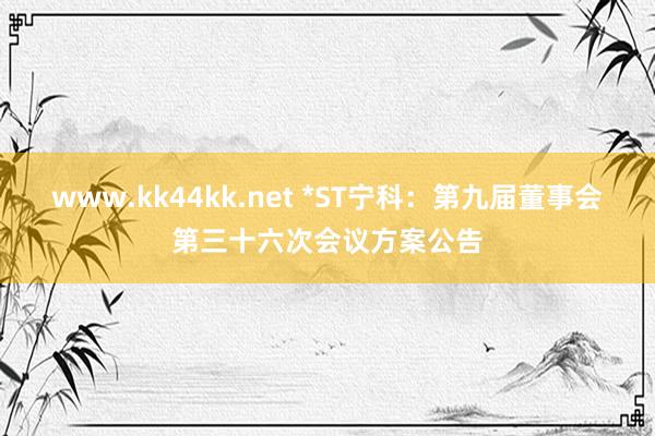 www.kk44kk.net *ST宁科：第九届董事会第三十六次会议方案公告