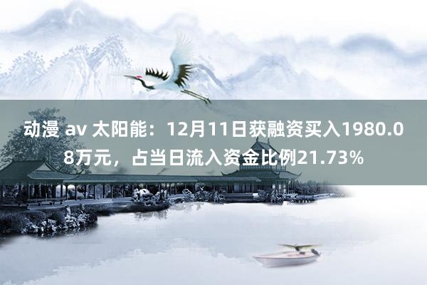动漫 av 太阳能：12月11日获融资买入1980.08万元，占当日流入资金比例21.73%