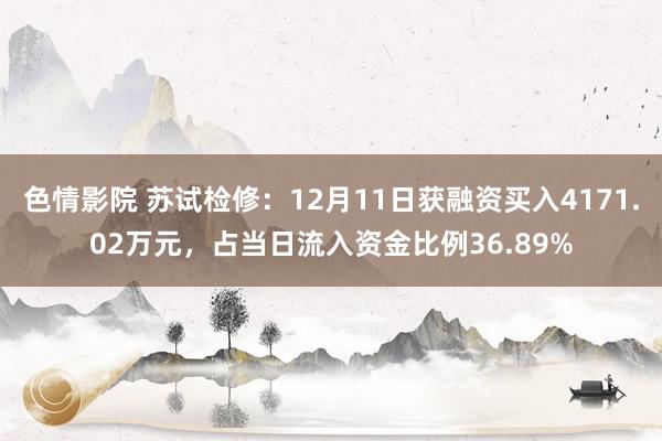色情影院 苏试检修：12月11日获融资买入4171.02万元，占当日流入资金比例36.89%