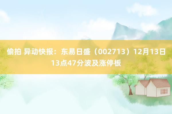 偷拍 异动快报：东易日盛（002713）12月13日13点47分波及涨停板