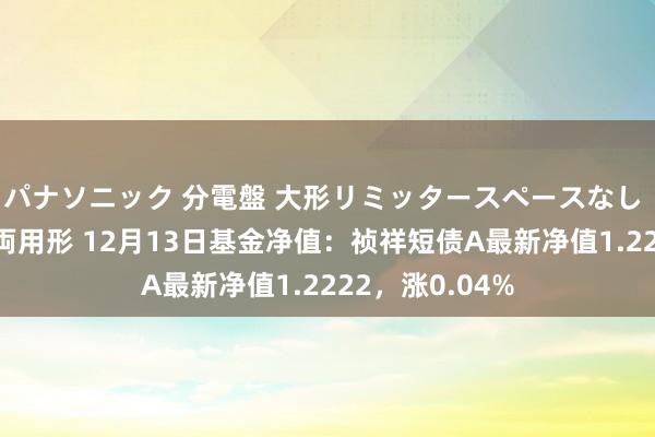 パナソニック 分電盤 大形リミッタースペースなし 露出・半埋込両用形 12月13日基金净值：祯祥短债A最新净值1.2222，涨0.04%