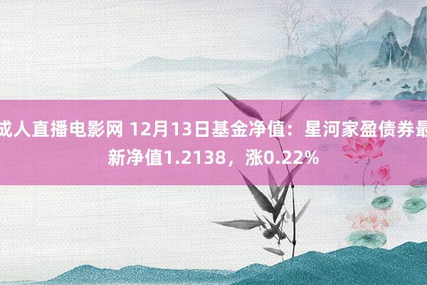 成人直播电影网 12月13日基金净值：星河家盈债券最新净值1.2138，涨0.22%