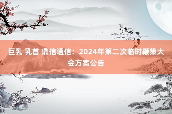 巨乳 乳首 鼎信通信：2024年第二次临时鞭策大会方案公告