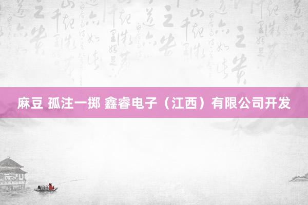 麻豆 孤注一掷 鑫睿电子（江西）有限公司开发