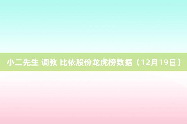 小二先生 调教 比依股份龙虎榜数据（12月19日）