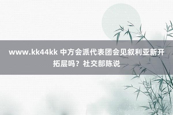 www.kk44kk 中方会派代表团会见叙利亚新开拓层吗？社交部陈说