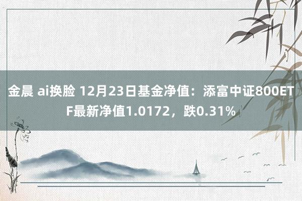 金晨 ai换脸 12月23日基金净值：添富中证800ETF最新净值1.0172，跌0.31%