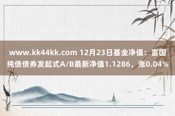 www.kk44kk.com 12月23日基金净值：富国纯债债券发起式A/B最新净值1.1286，涨0.04%