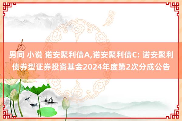 男同 小说 诺安聚利债A，诺安聚利债C: 诺安聚利债券型证券投资基金2024年度第2次分成公告