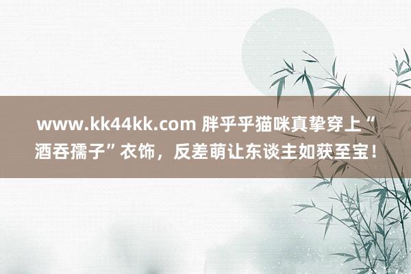 www.kk44kk.com 胖乎乎猫咪真挚穿上“酒吞孺子”衣饰，反差萌让东谈主如获至宝！