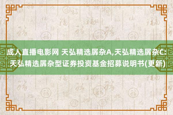 成人直播电影网 天弘精选羼杂A,天弘精选羼杂C: 天弘精选羼杂型证券投资基金招募说明书(更新)