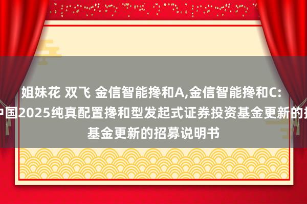 姐妹花 双飞 金信智能搀和A,金信智能搀和C: 金信智能中国2025纯真配置搀和型发起式证券投资基金更新的招募说明书
