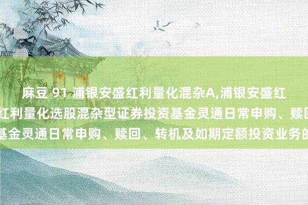 麻豆 91 浦银安盛红利量化混杂A,浦银安盛红利量化混杂C: 浦银安盛红利量化选股混杂型证券投资基金灵通日常申购、赎回、转机及如期定额投资业务的公告