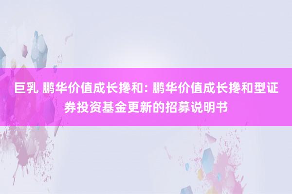 巨乳 鹏华价值成长搀和: 鹏华价值成长搀和型证券投资基金更新的招募说明书