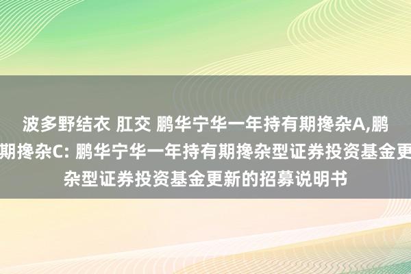 波多野结衣 肛交 鹏华宁华一年持有期搀杂A,鹏华宁华一年持有期搀杂C: 鹏华宁华一年持有期搀杂型证券投资基金更新的招募说明书