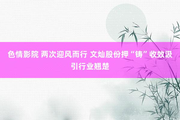 色情影院 两次迎风而行 文灿股份押“铸”收效汲引行业翘楚