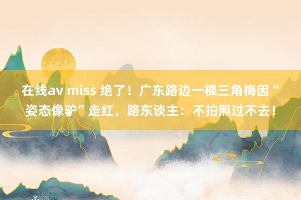 在线av miss 绝了！广东路边一棵三角梅因“姿态像驴”走红，路东谈主：不拍照过不去！