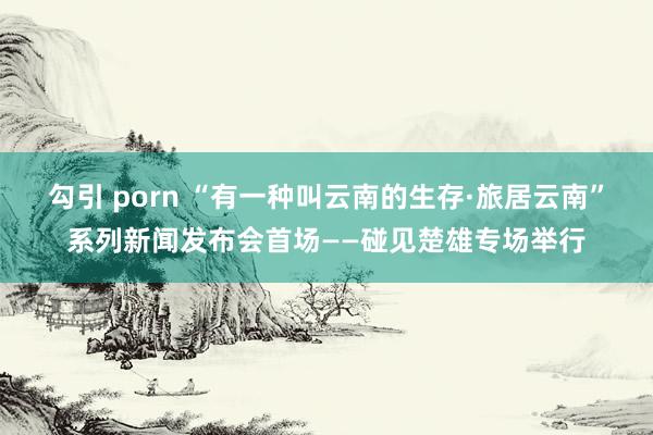 勾引 porn “有一种叫云南的生存·旅居云南”系列新闻发布会首场——碰见楚雄专场举行