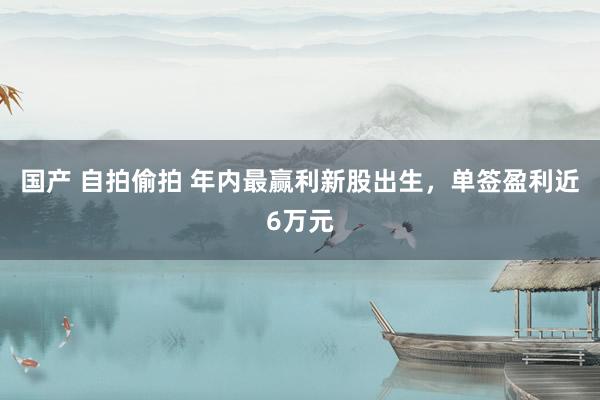 国产 自拍偷拍 年内最赢利新股出生，单签盈利近6万元