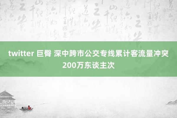 twitter 巨臀 深中跨市公交专线累计客流量冲突200万东谈主次