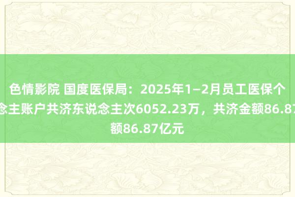 色情影院 国度医保局：2025年1—2月员工医保个东说念主账户共济东说念主次6052.23万，共济金额86.87亿元