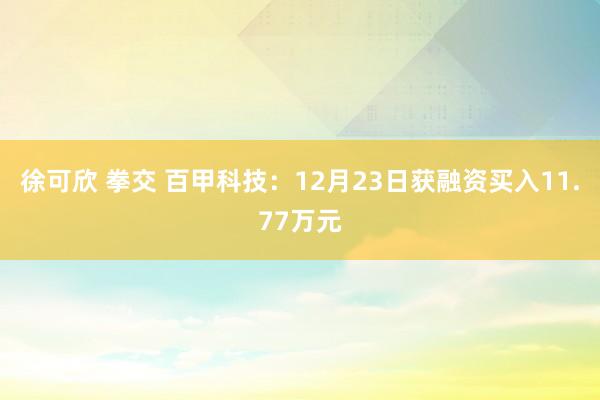 徐可欣 拳交 百甲科技：12月23日获融资买入11.77万元