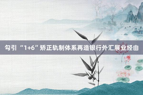 勾引 “1+6”矫正轨制体系再造银行外汇展业经由