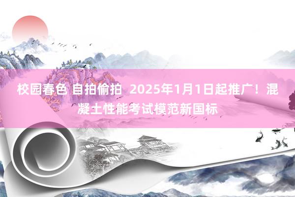 校园春色 自拍偷拍  2025年1月1日起推广！混凝土性能考试模范新国标