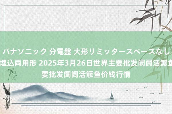 パナソニック 分電盤 大形リミッタースペースなし 露出・半埋込両用形 2025年3月26日世界主要批发阛阓活鳜鱼价钱行情