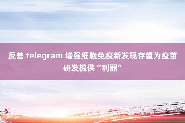 反差 telegram 增强细胞免疫新发现存望为疫苗研发提供“利器”