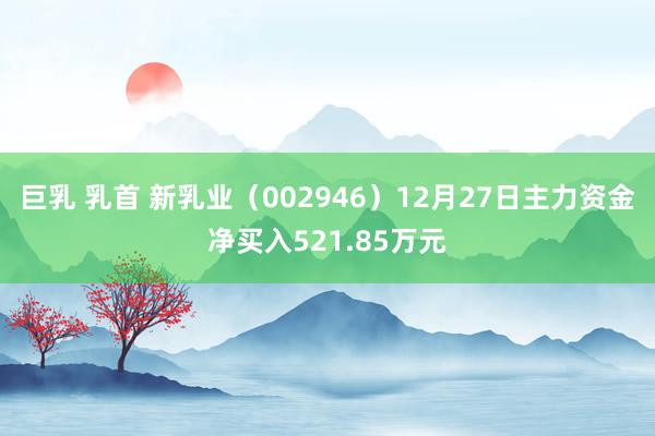 巨乳 乳首 新乳业（002946）12月27日主力资金净买入521.85万元