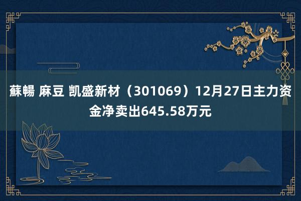 蘇暢 麻豆 凯盛新材（301069）12月27日主力资金净卖出645.58万元