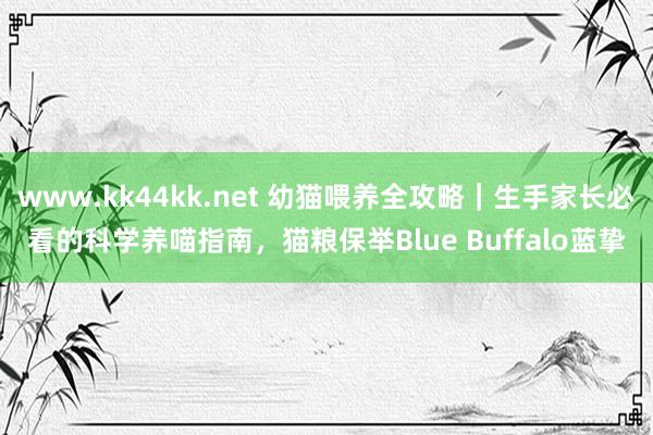 www.kk44kk.net 幼猫喂养全攻略｜生手家长必看的科学养喵指南，猫粮保举Blue Buffalo蓝挚