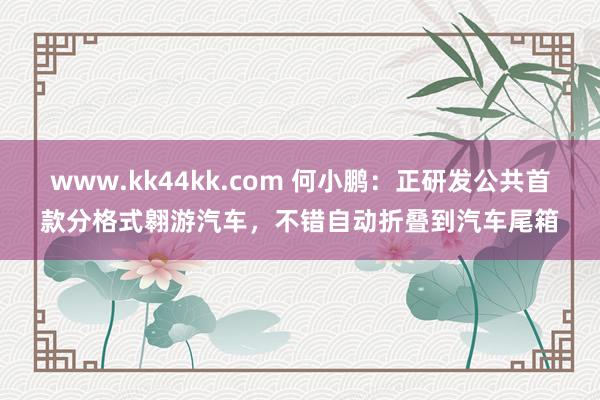 www.kk44kk.com 何小鹏：正研发公共首款分格式翱游汽车，不错自动折叠到汽车尾箱