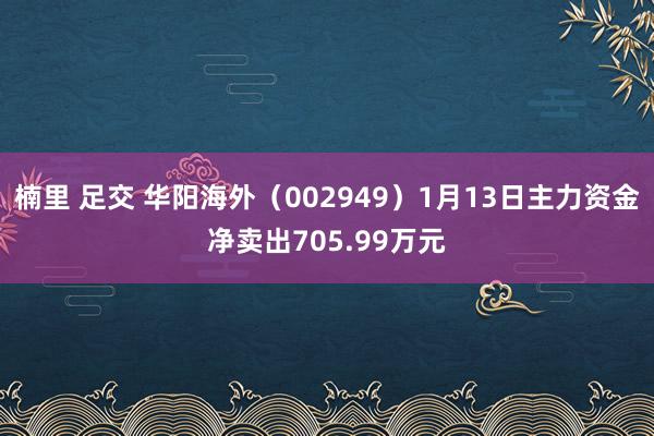楠里 足交 华阳海外（002949）1月13日主力资金净卖出705.99万元
