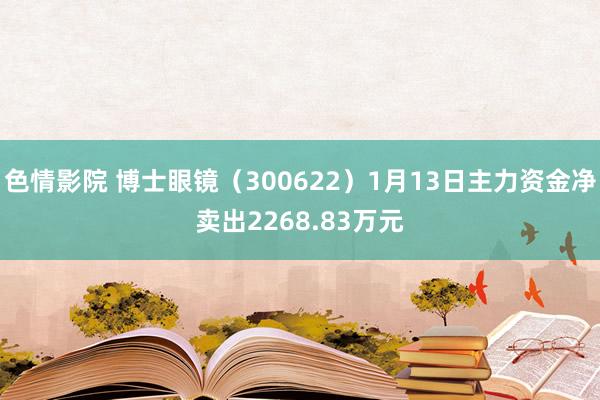 色情影院 博士眼镜（300622）1月13日主力资金净卖出2268.83万元