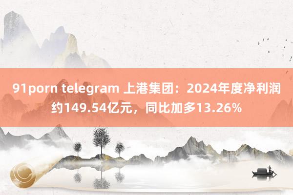 91porn telegram 上港集团：2024年度净利润约149.54亿元，同比加多13.26%