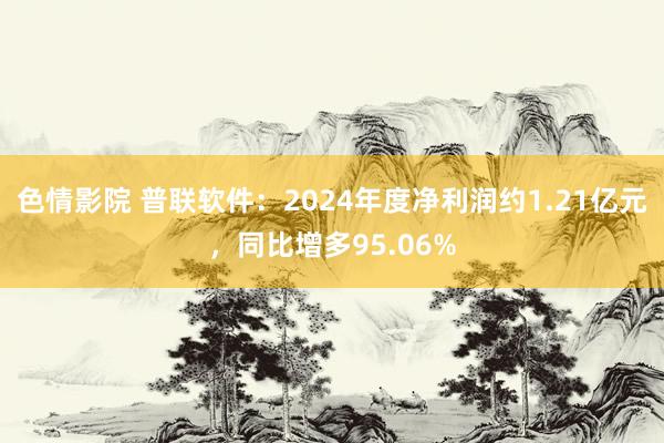 色情影院 普联软件：2024年度净利润约1.21亿元，同比增多95.06%