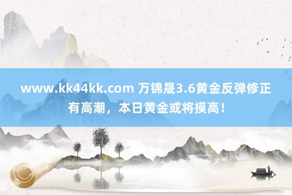 www.kk44kk.com 万锦晟3.6黄金反弹修正有高潮，本日黄金或将摸高！
