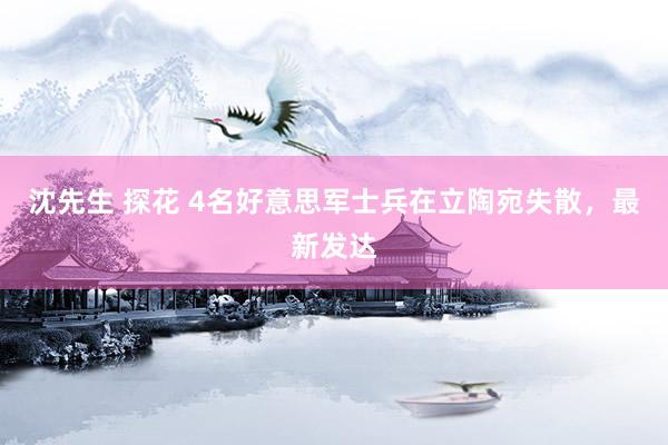 沈先生 探花 4名好意思军士兵在立陶宛失散,最新发达