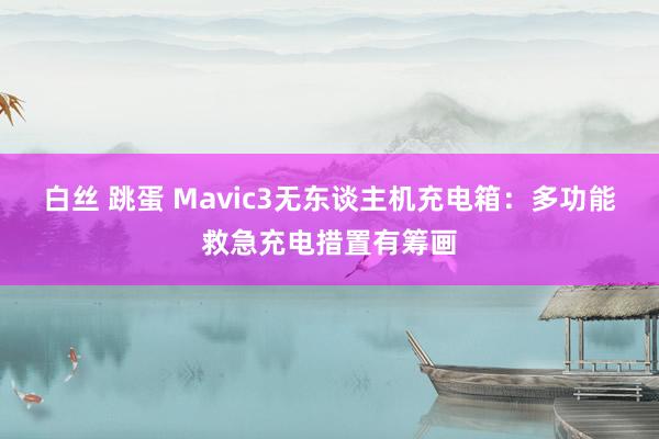 白丝 跳蛋 Mavic3无东谈主机充电箱：多功能救急充电措置有筹画