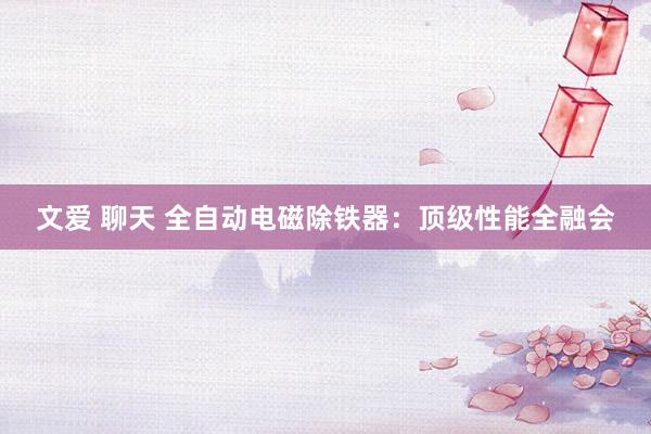 文爱 聊天 全自动电磁除铁器：顶级性能全融会