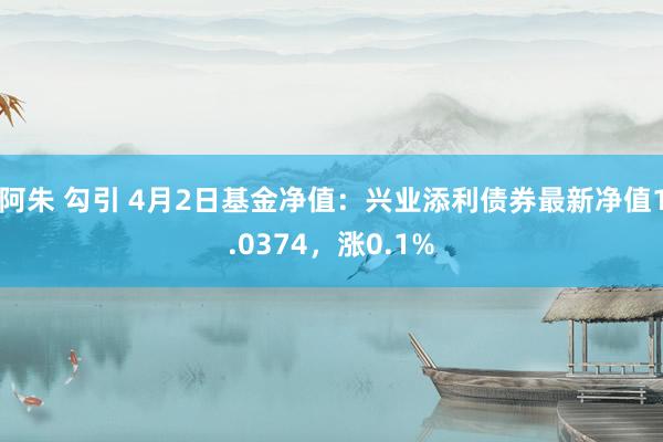 阿朱 勾引 4月2日基金净值：兴业添利债券最新净值1.0374，涨0.1%