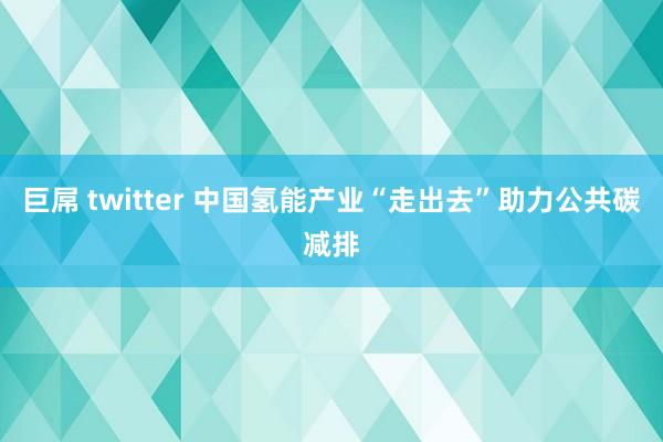 巨屌 twitter 中国氢能产业“走出去”助力公共碳减排