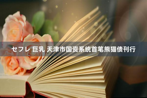 セフレ 巨乳 天津市国资系统首笔熊猫债刊行