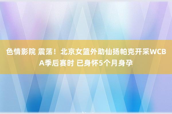 色情影院 震荡！北京女篮外助仙扬帕克开采WCBA季后赛时 已身怀5个月身孕