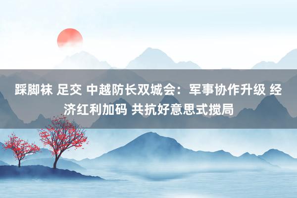 踩脚袜 足交 中越防长双城会：军事协作升级 经济红利加码 共抗好意思式搅局